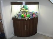 250Ltr FISH TANK WITH EVERYTHING 